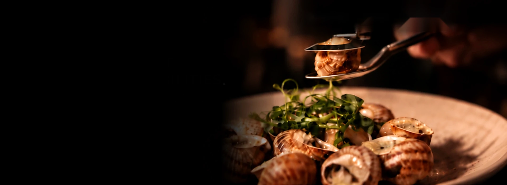 G SNAIL escargot dining experience