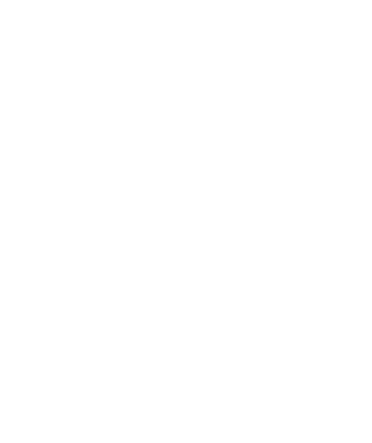 G SNAIL